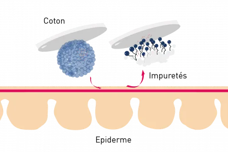 L'action des micelles sur la peau